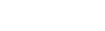 DropBazaar Express